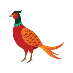 Colorful pheasant vector art illustration