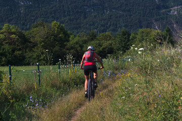 Fototapeta premium Woman cycling on a serene forest path