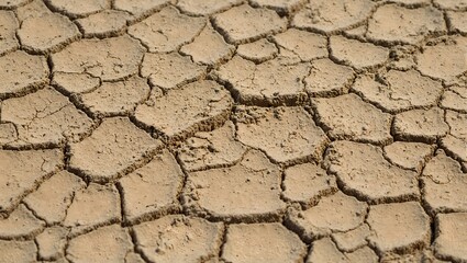 Detailed close up of cracked dried mud showcasing intricate fissure patterns and a dusty matte finish capturing natures erosion textures