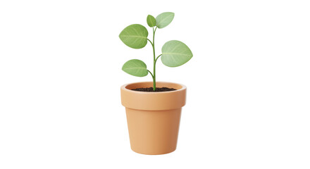Isolated Potted Plant