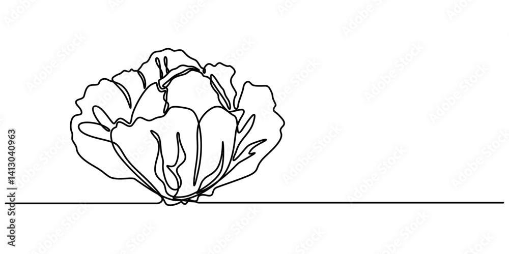 Poster cabbage continuous one line drawing, hand-drawn cabbage continuous outline vector. cabbage one line 