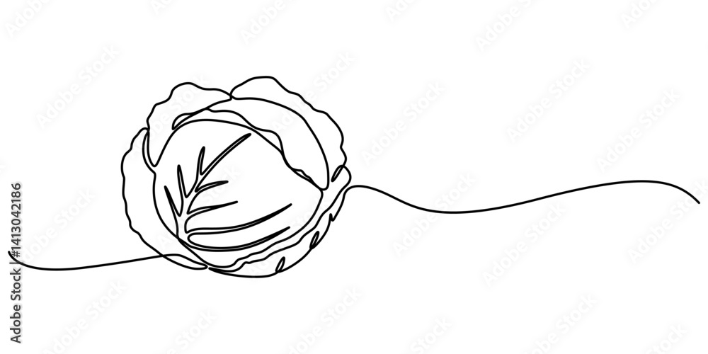 Poster cabbage continuous one line drawing, Hand-drawn cabbage continuous outline vector. Cabbage one line art drawing, Chinese cabbage in continuous line art drawing style, Single continuous line drawing. 
