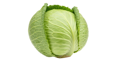 Fototapeta premium Isolated Green Cabbage