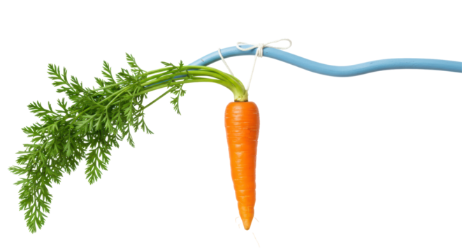 Isolated Carrot on a Stick - Powered by Adobe