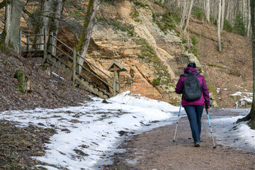 Obraz premium A woman in a purple jacket and dark pants walking with Nordic walking poles along a snowy trail in the forest along sandstone outcrops.