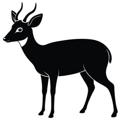 Muntjac Deer Forest Animal