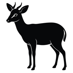 Muntjac Wildlife Vector Graphic