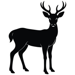 White Tailed Deer Silhouette