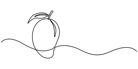 Mango vector illustration. One line drawing art illustration with organic mango, Continuous one line drawing of mango fruit with leaf. Mango fruit hand drawn single line art pro vector illustration.