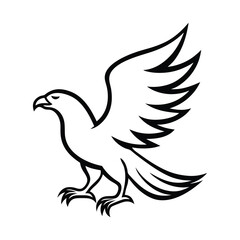 white dove isolated on white