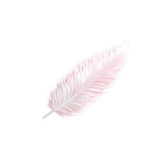 Soft Pink Feather on a Clean White Background for Natural Aesthetics