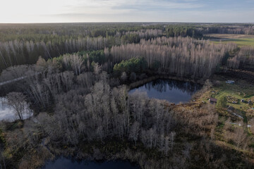 aerial view of forest in early spring and some water ponds in forest