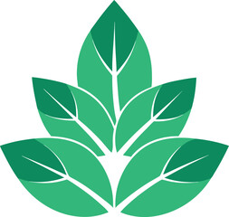 green leaves on white background