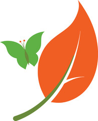 vector illustration of an orange fruit