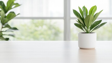 Fototapeta premium Indoor plants white surface natural light minimalist home decor