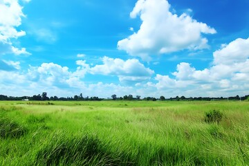 Obraz premium serene green pasture basking under a cloud-speckled blue sky embodies fertile grounds ideal for cultivation projects or prospective land acquisitions 