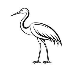 Cettle egret in the water