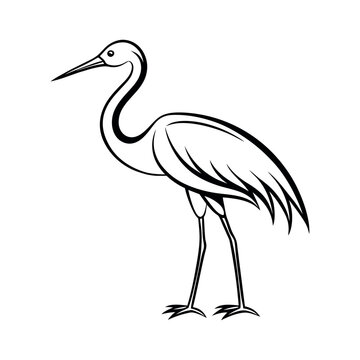 Cettle egret in the water
