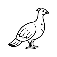 Willow Grouse Bird on White Background Vector