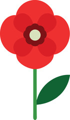 red poppy flower
