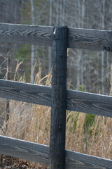 Fototapeta premium old wooden fence