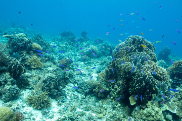 Maria��s Point 3