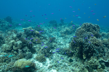 Obraz premium Maria��s Point 2