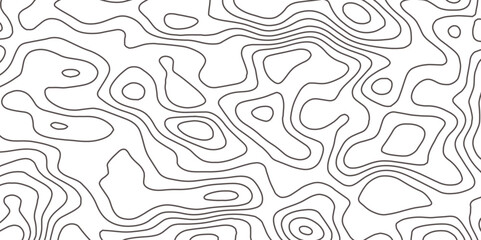 White wave paper curved reliefs abstract background, Vector geographic contour map. Topographic map patterns, topography line map. Vintage outdoors style 