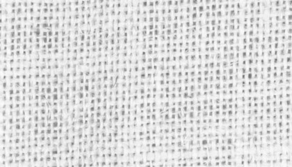 Abstract Textured Image: A Monochromatic Study in Grey Tones