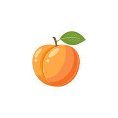Apricot. Icon for design on blank background, Apricot fruit with half slice and leaves isolated on transparent white background.