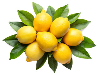 lemons on a branch