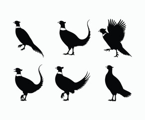 Fototapeta premium Elegant Minimal Ring Necked Pheasant Silhouette Isolated Template
