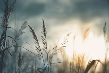 Obraz premium Silhouetted grasses. Tall grasses against a soft-lit sky symbolize harmony with nature. Applications include relaxation-themed publications, mindfulness apps, or art prints.