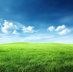 Fototapeta premium Serene meadow under blue sky. Perfect for relaxation-themed designs or environmental materials. Represents peace, natural harmony, and escape from urban chaos.