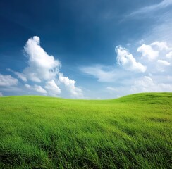 Obraz premium Serene meadow under blue sky. Perfect for relaxation-themed designs or environmental materials. Represents peace, natural harmony, and escape from urban chaos.