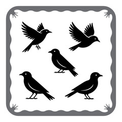 Fototapeta premium Minimalist Black Bird Icons