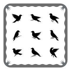 Elegant Bird Silhouettes Collection