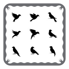 Stylish Bird Silhouettes for Branding
