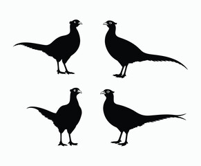 Obraz premium Modern Ring Necked Pheasant Silhouette Collection Vector Template
