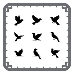 Stylish Bird Silhouettes for Branding