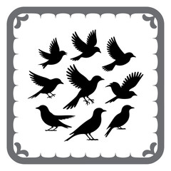 Simplified Bird Designs for Creatives