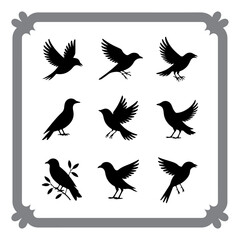 Simplified Bird Designs for Creatives
