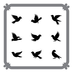 Bird Iconography – Modern Vector Style