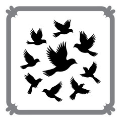 Bird Iconography – Modern Vector Style