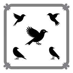 Birds in Flight and Rest – Graphic Set