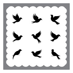 Flying Birds and Perch Poses Collection