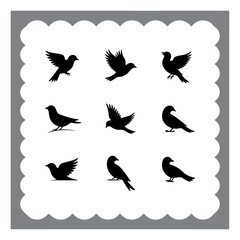 Abstract Bird Set – Vector Silhouettes