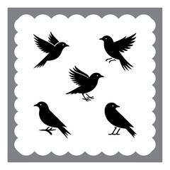 Abstract Bird Set – Vector Silhouettes