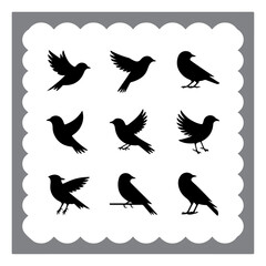 Silhouetted Bird Illustrations