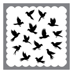 Bird Silhouettes for Logo and Print